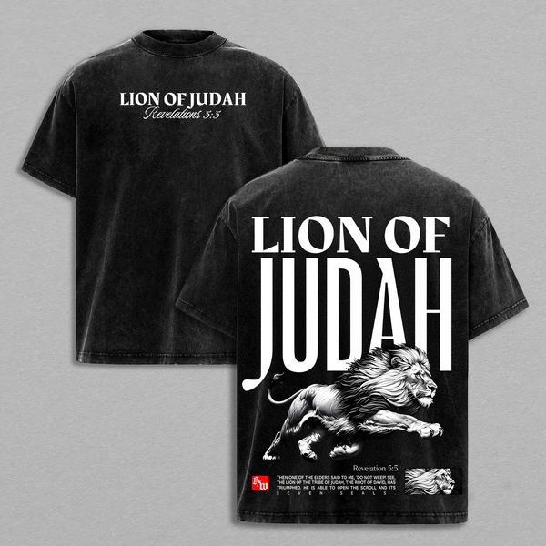 Lion of Judah Vintage Washed T-Shirt / Tank Top / Hoodie, Christian Jesus Apparel, Faith Streetwear Oversize Heavyweight, Gothic Church Outfit, Gym Pump Cover , Lion Shirt
