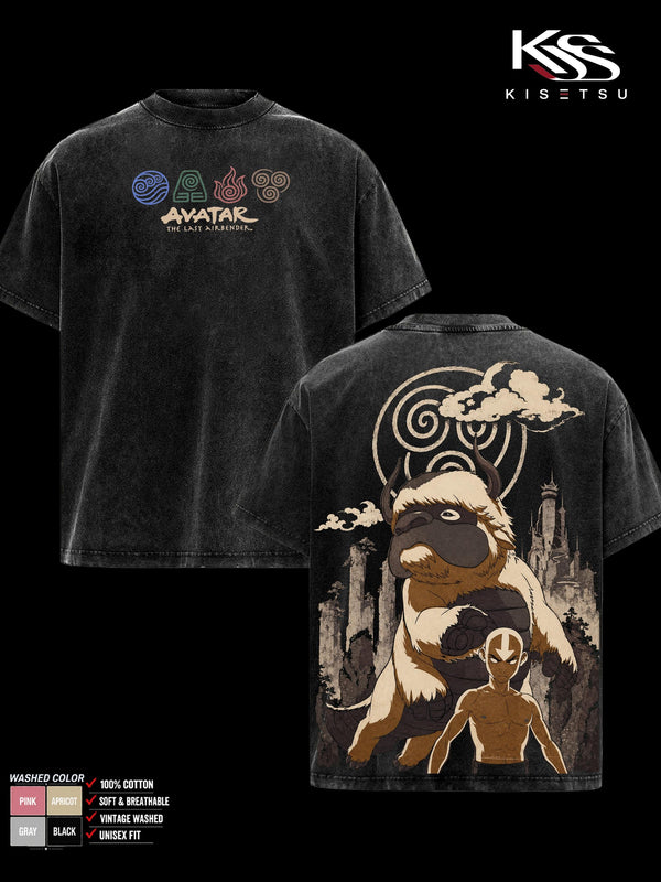 Avatar The Last Airbender Menswear Graphic T-Shirt, Appa Aang Double Sided Tee, Oversized Vintage Washed Soft Cotton Top, Classic Casual Streetwear Apparel, Gift for Fans
